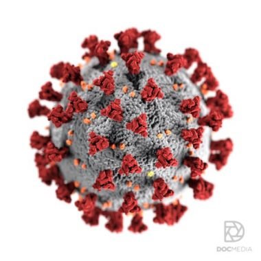 Docmedia-coronavirus-covid-19-contador-de-contagiados-clinicas-dentales-bulos-rumores